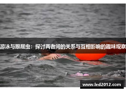 游泳与跟屁虫：探讨两者间的关系与互相影响的趣味观察
